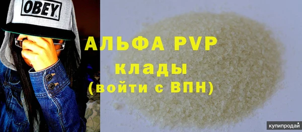 шишки Верея