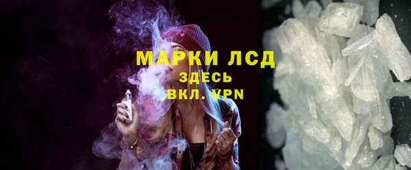 стаф Вязьма