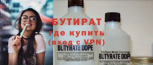 сатива Бородино