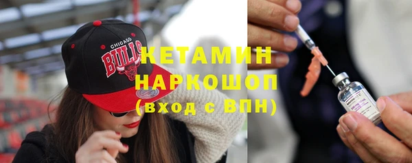 шишки Верея