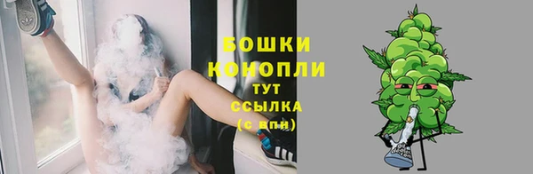 шишки Верея