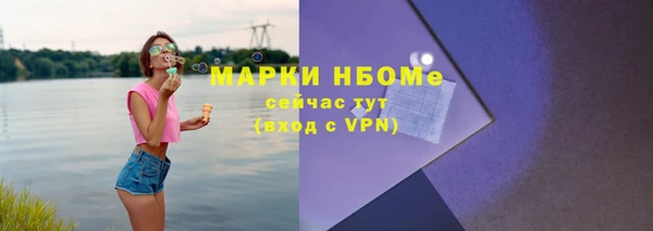 стаф Вязьма