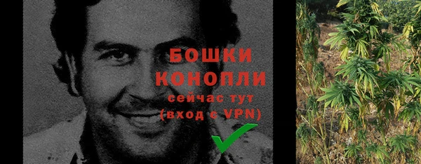 стаф Бугульма