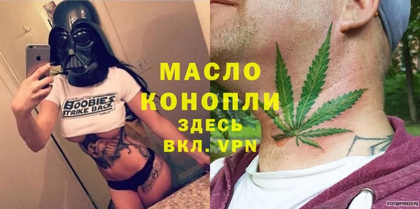 шишки Верея
