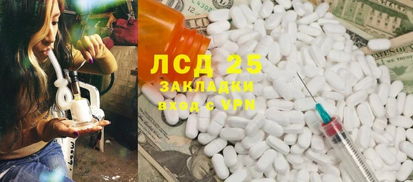 стаф Вязьма