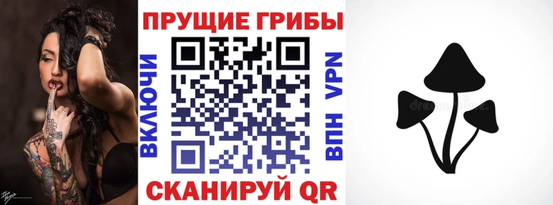 Галлюциногенные грибы Cubensis Игарка